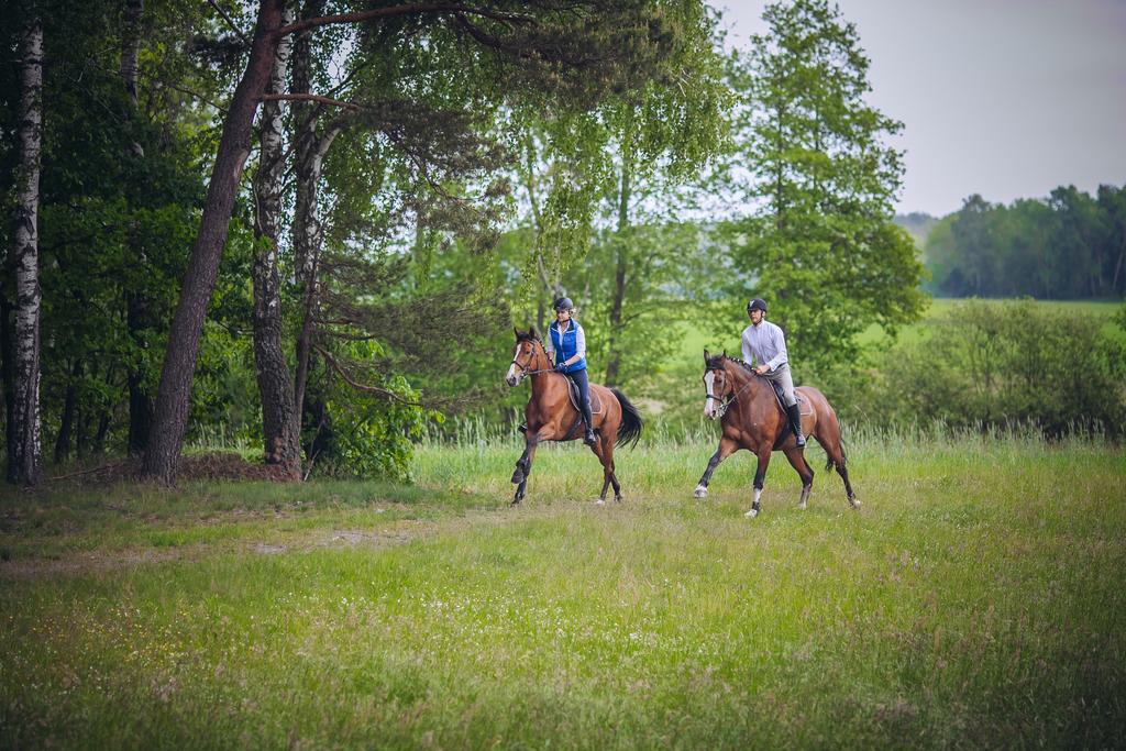 Hubertus Aparthotel & Restaurant & Horse Club Starogard Gdański 外观 照片