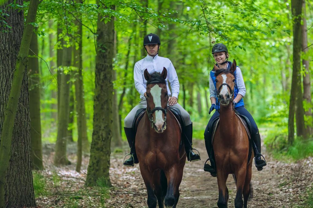 Hubertus Aparthotel & Restaurant & Horse Club Starogard Gdański 客房 照片