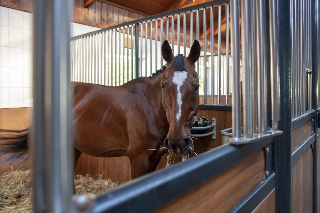 Hubertus Aparthotel & Restaurant & Horse Club Starogard Gdański 外观 照片